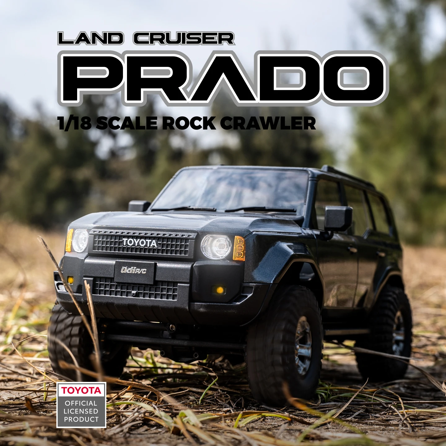 UDIRC 1/18 1/24 Camioneta Todo - Rc Hobby Grade Truck reseña y precio